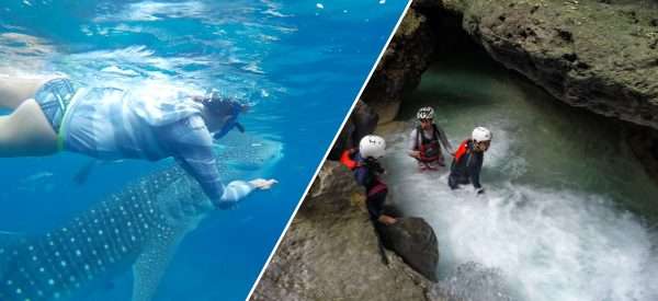 Whale Shark Watching + Kabutongan Falls Canyoneering Adventure pick-up and drop off Cebu City
