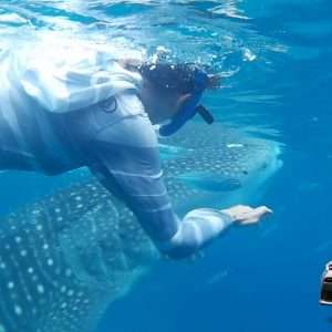 mactan airport to Oslob car transfer
