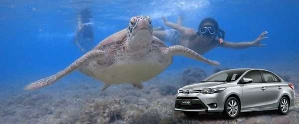 Maya Port to Moalboal Car Transfer