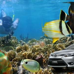 Mactan Airport to Mactan Hotels Car Transfer