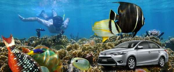 Mactan Airport to Mactan Hotels Car Transfer