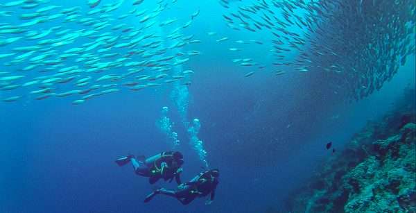 Scuba Diving in Moalboal pick up and drop off Mactan