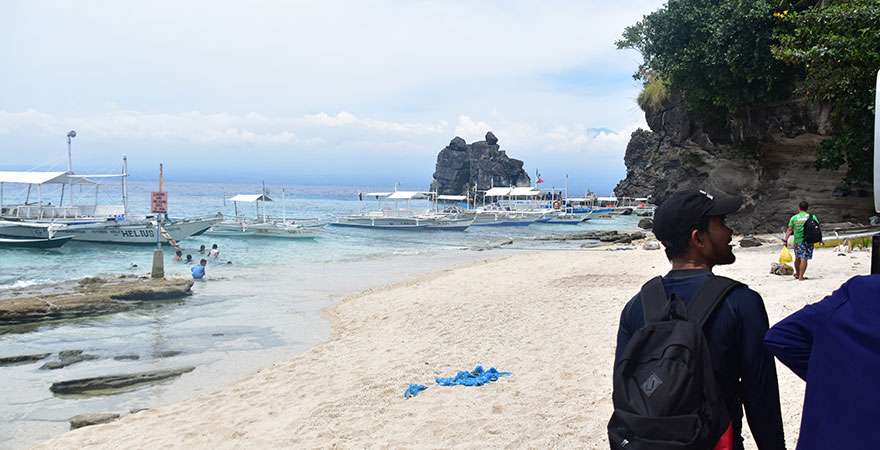 apo island tour package