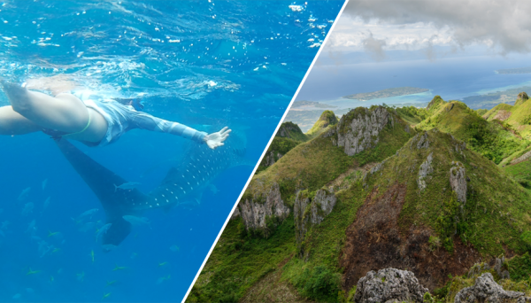 Whale shark + osmena peak