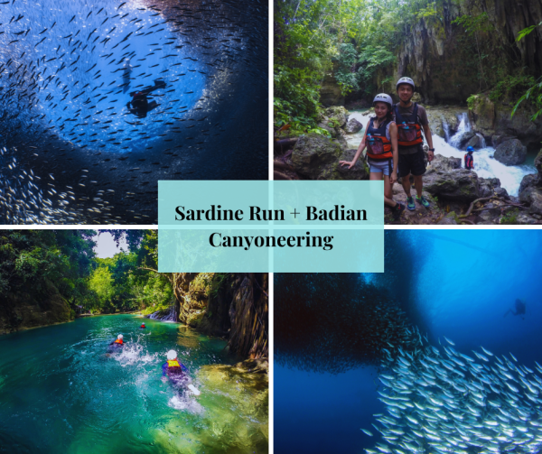 Sardine Run + Badian Canyoneering pick-up and drop off Cuartel
