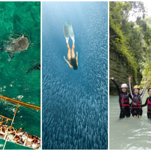 Whale Shark Watching + Canyoneering + Sardines Run Day Tour pick-up and drop off Oslob