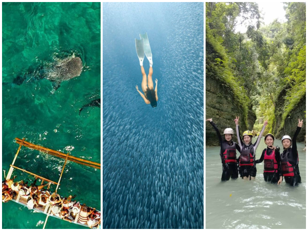 Whale Shark Watching + Canyoneering + Sardines Run Day Tour pick-up and drop off Samboan