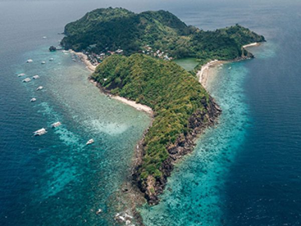 apo-island-negros