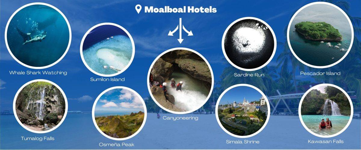 day tours from Moalboal